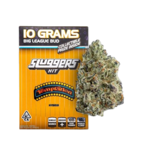 Temptation Sluggers Hit 10g Flowers Temptation Sluggers Hit 10g Flowers