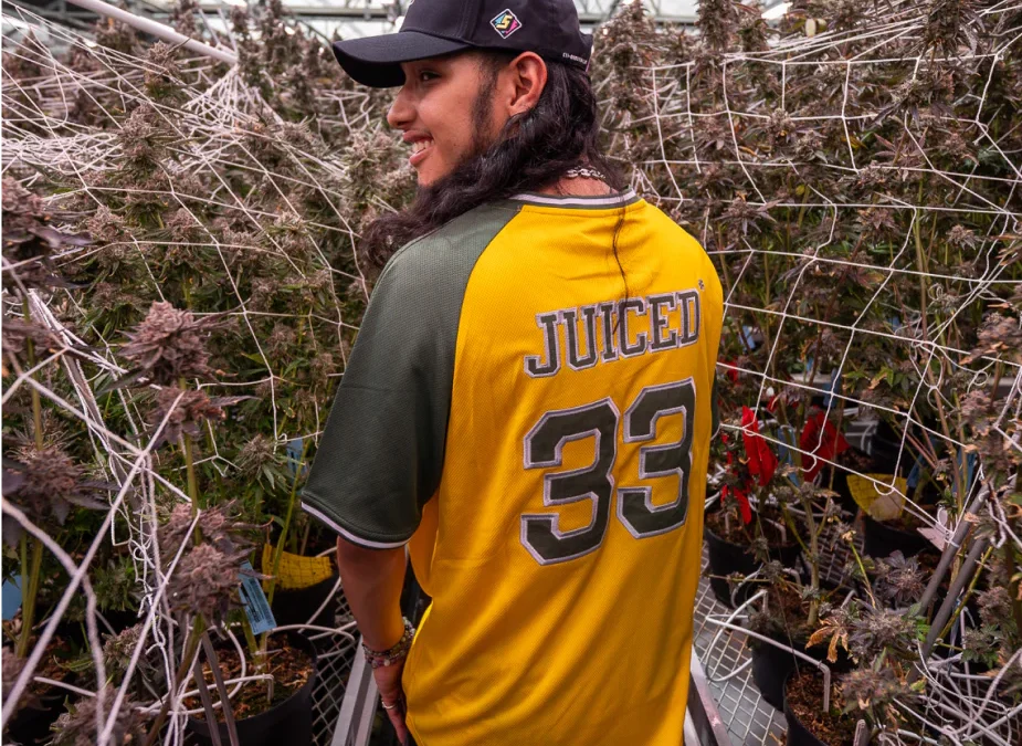 Sluggers Carts