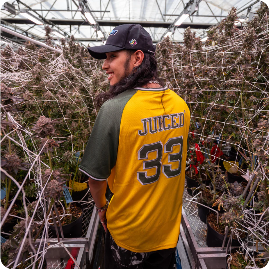 Sluggers Carts