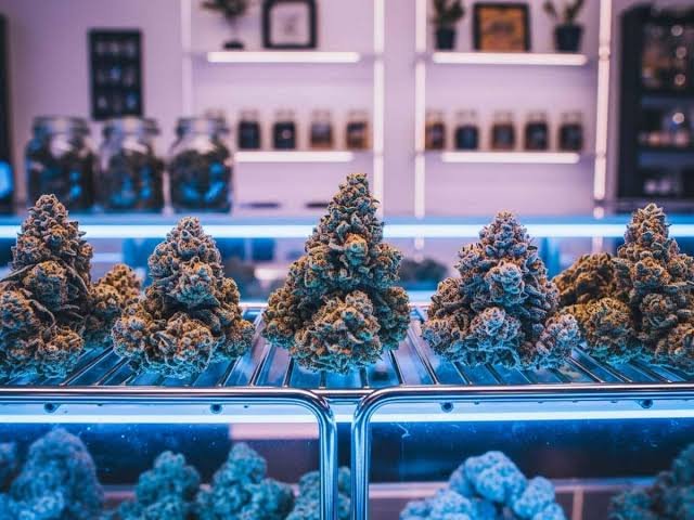 Best THC Flower Strains: How to Compare Them