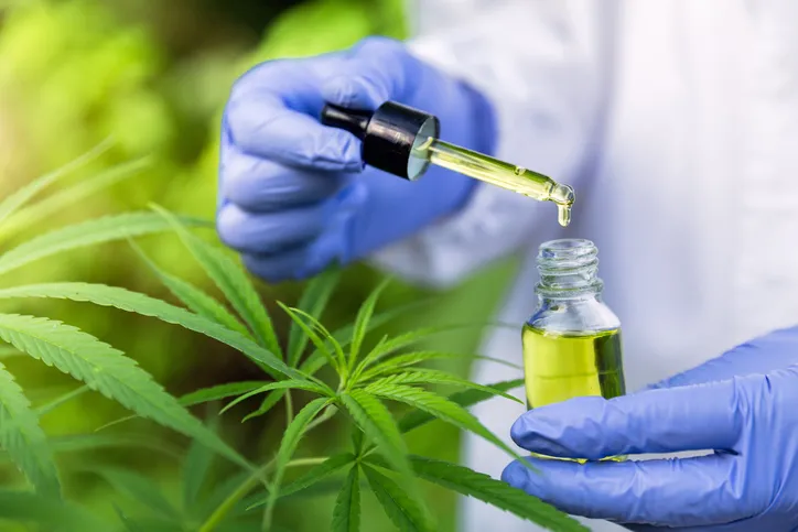 How Lab Testing Ensures CBD Product Safety