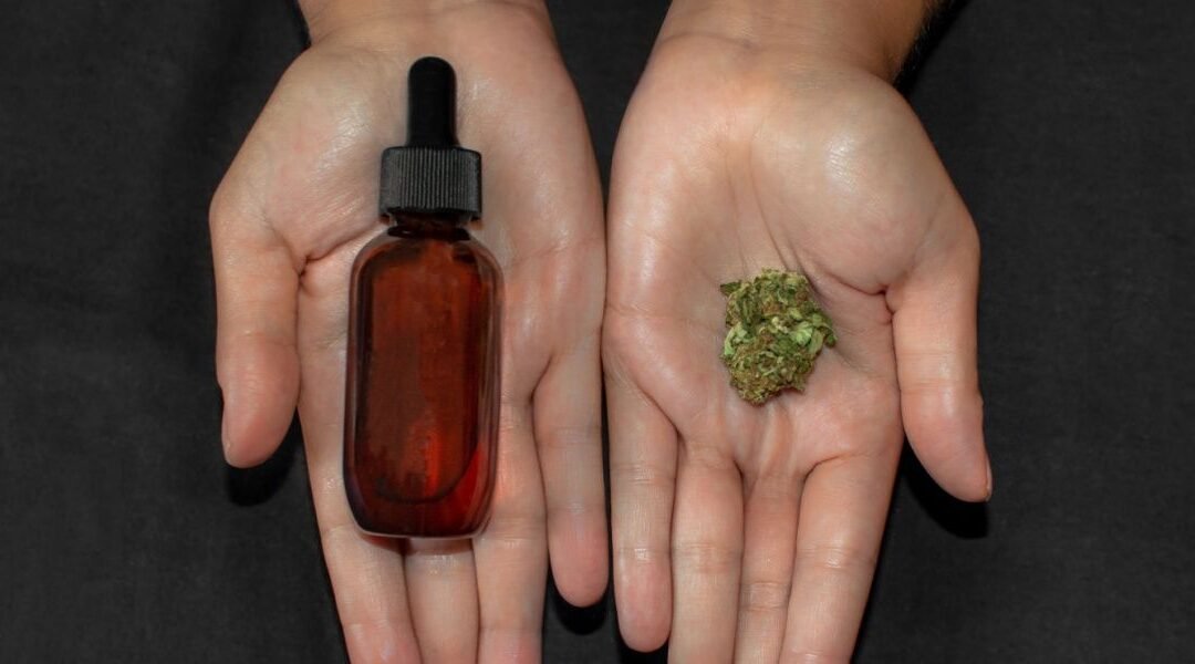 CBN vs THC