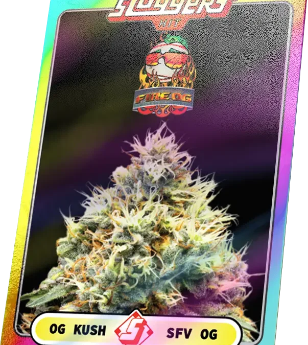 Fire OG Strain
