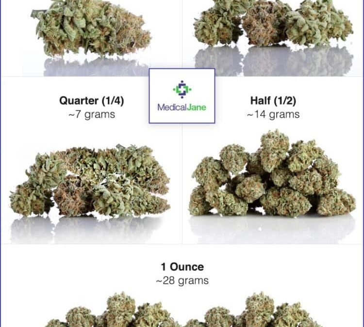 THC Flower Sizes Explained: 1g, 3.5g, 7g, 14g & 28g