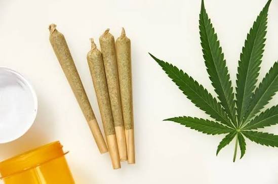 Best Pre-Rolls for Anxiety Relief