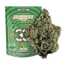 33 Sluggers Flower Strain 2026 UK Guide: Effects, Flavour, Potency & More